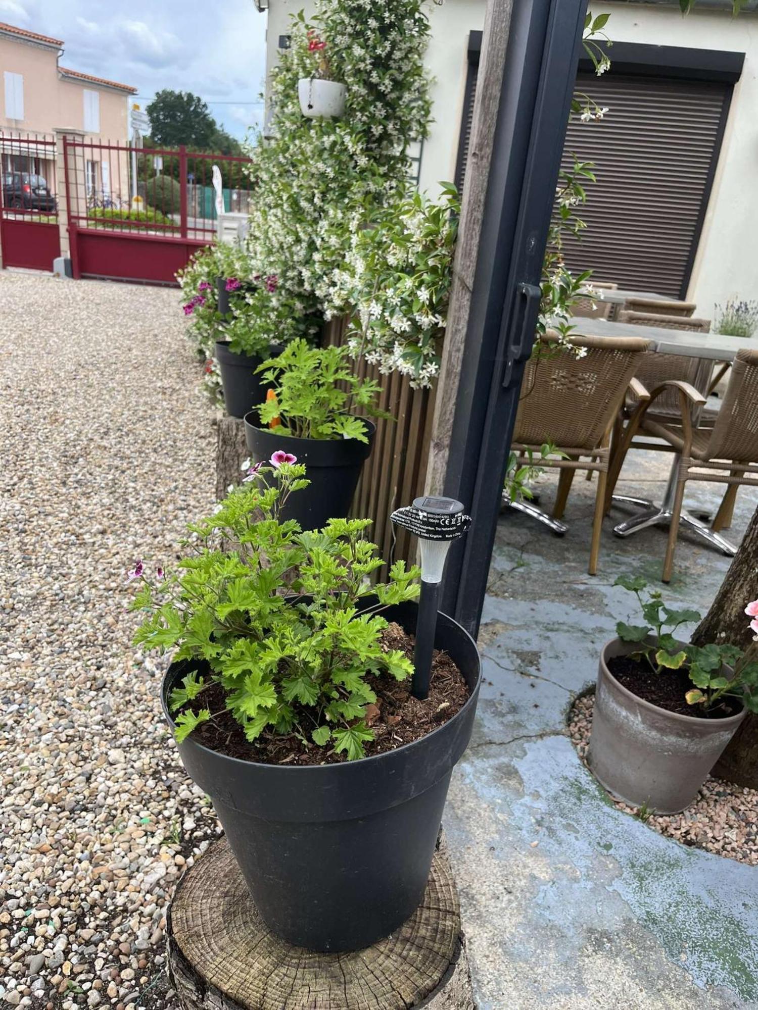L'Estuaire Bed & Breakfast Saint-Seurin-de-Cursac Exterior photo